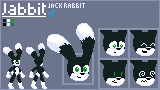 Ref sheet for Jabbit.